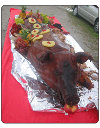 party pig